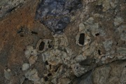 IMG_9787.JPG