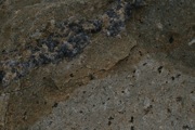 IMG_9791.JPG