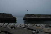 IMG_9792.JPG