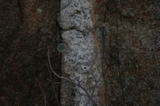 IMG_9793.JPG