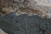 IMG_9797.JPG