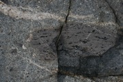 IMG_9798.JPG