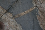 IMG_9799.JPG