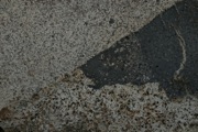 IMG_9809.JPG