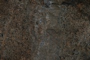 IMG_9818.JPG