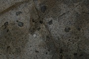 IMG_9819.JPG