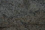 IMG_9820.JPG
