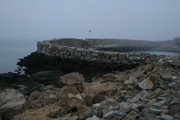 IMG_9821.JPG