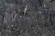 IMG_9682.JPG