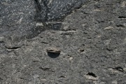 IMG_9683.JPG