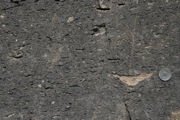 IMG_9684.JPG