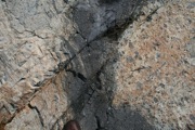 IMG_9686.JPG