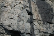 IMG_9687.JPG