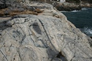 IMG_9688.JPG