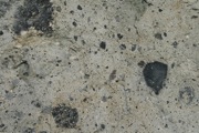 IMG_9703.JPG