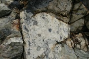 IMG_9704.JPG