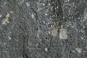 IMG_9705.JPG