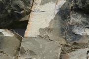 IMG_9710.JPG