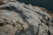 IMG_9720.JPG
