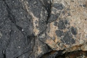 IMG_9722.JPG