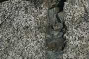 IMG_9677.JPG