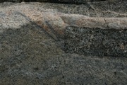 IMG_9728.JPG