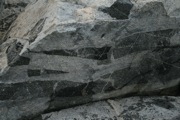 IMG_9729.JPG
