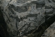 IMG_9731.JPG