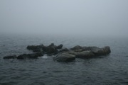 IMG_9732.JPG