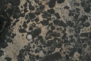 IMG_9736.JPG
