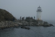 IMG_9738.JPG