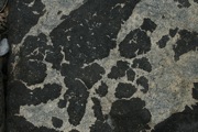 IMG_9741.JPG