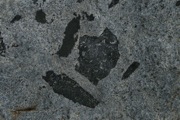 IMG_9742.JPG