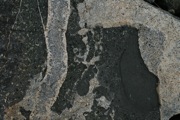 IMG_9744.JPG