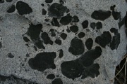 IMG_9745.JPG