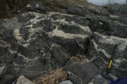 IMG_9747.JPG