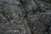 IMG_9752.JPG