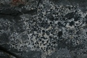 IMG_9753.JPG