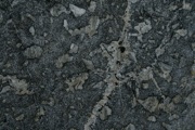 IMG_9754.JPG
