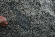 IMG_9761.JPG