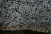 IMG_9764.JPG