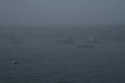 IMG_9766.JPG