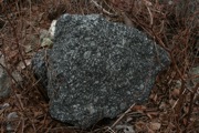 IMG_9767.JPG