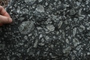 IMG_9768.JPG