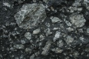 IMG_9769.JPG