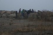 IMG_9772.JPG