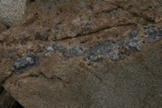 IMG_9778.JPG