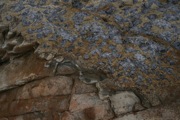 IMG_9780.JPG