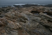 IMG_9781.JPG
