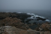 IMG_9782.JPG